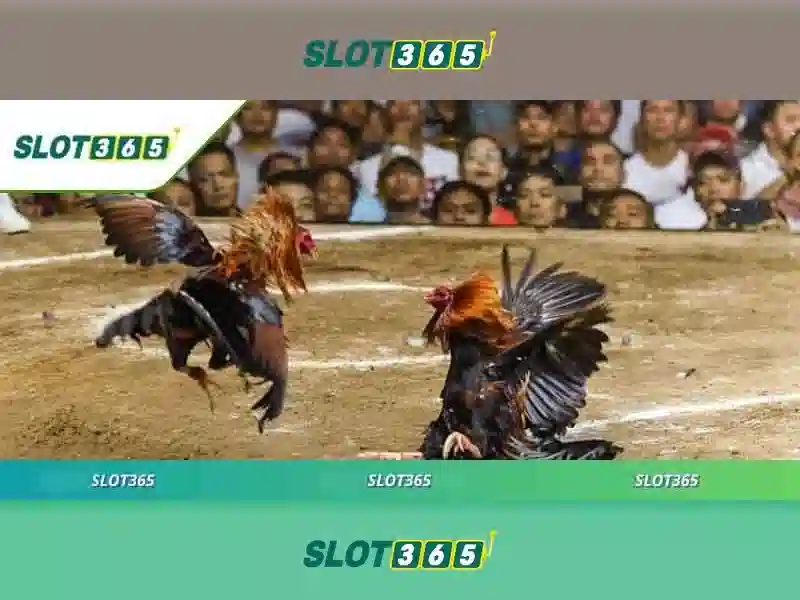 Slot365 uy tín