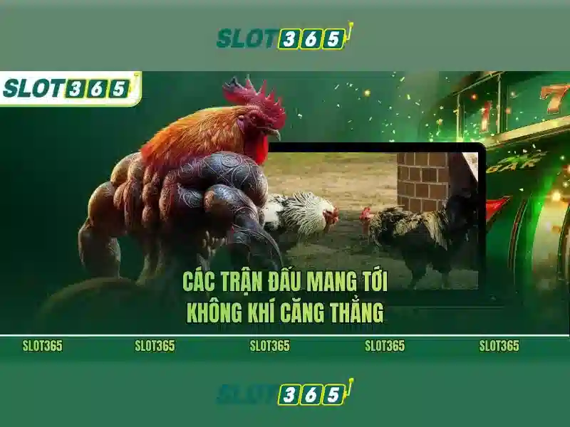 Giới Thiệu Về SLOT365