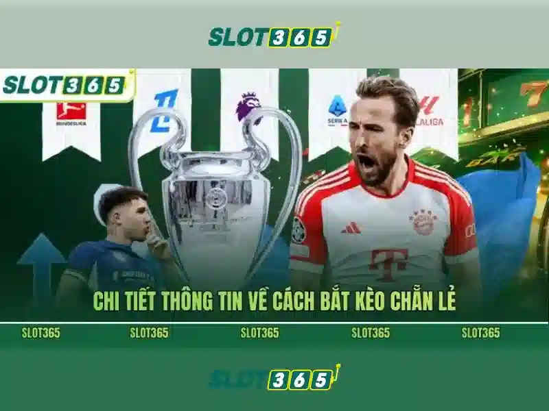 Về Chúng Tôi và SLOT365 – Trang Chủ Chính Thức Của Nhà Cái Slot365 2026