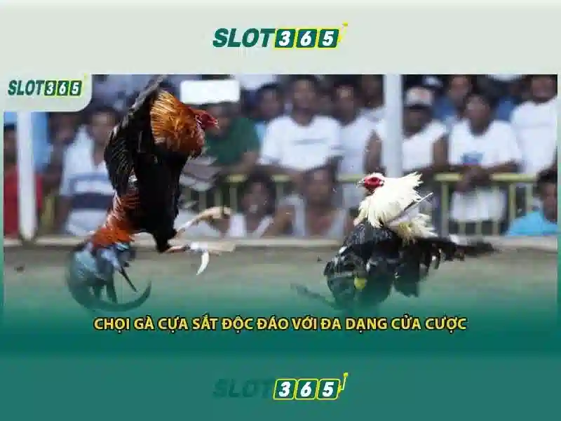 Trải nghiệm Slot365