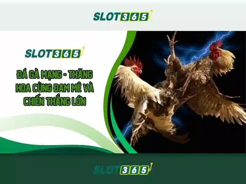 Tính năng app Slot365
