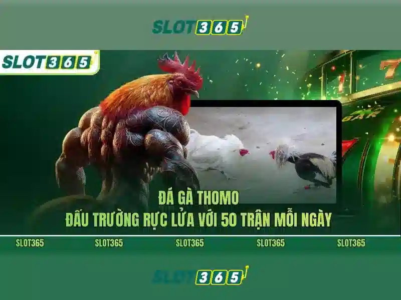 Các Loại Slot Được Ưa Chuộng Nhất