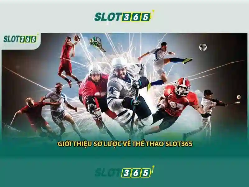 Trải nghiệm Slot365 hợp pháp