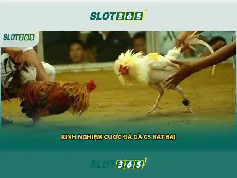 SLOT365 - Thế Giới Giải Trí Trực Tuyến Toàn Diện