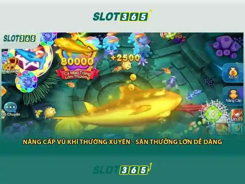 Quy Định Sử Dụng