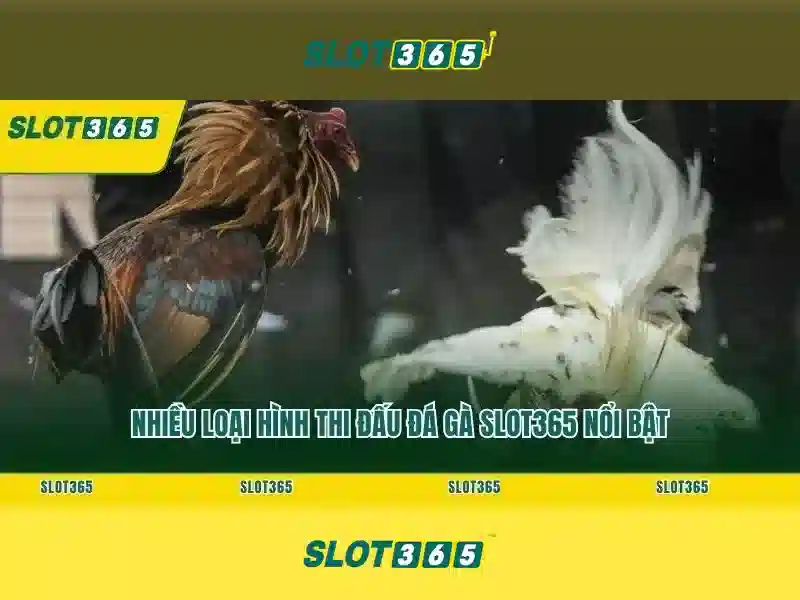 slot365 bet