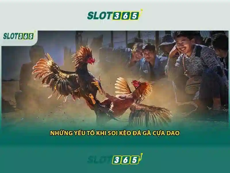 Slot365 Game