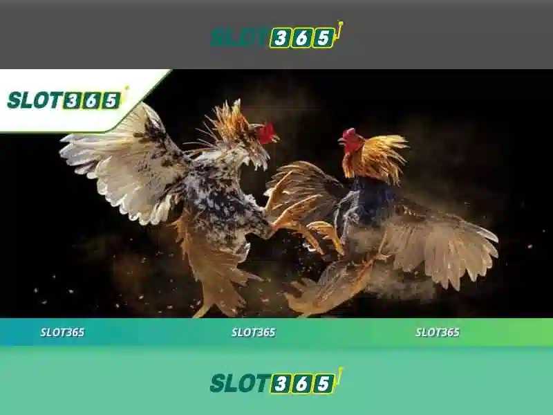 Trải Nghiệm Slot365 Tang 200k