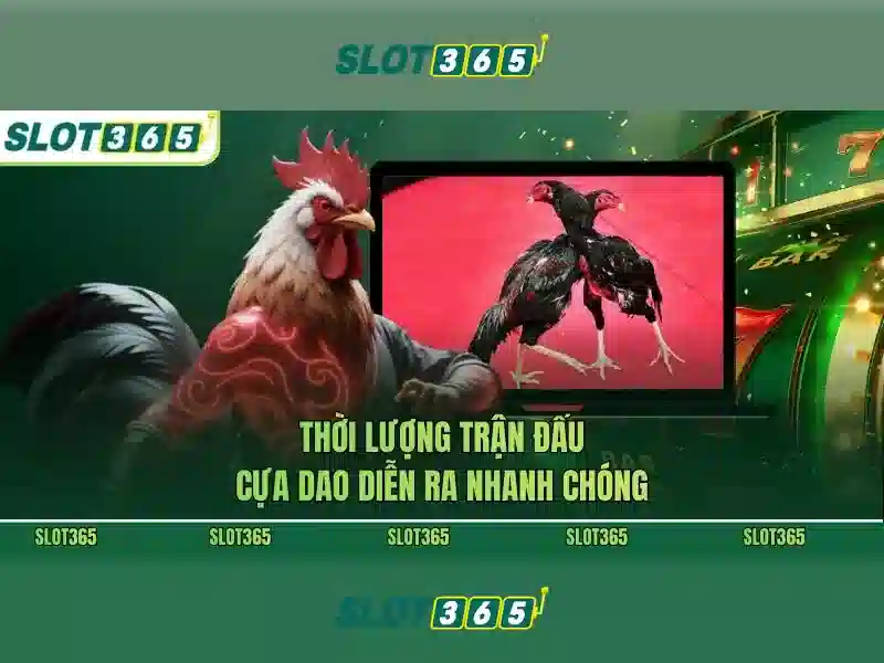 SLOT365 – Trải Nghiệm Mới Trong Thế Giới Slot Đa Dạng 2026