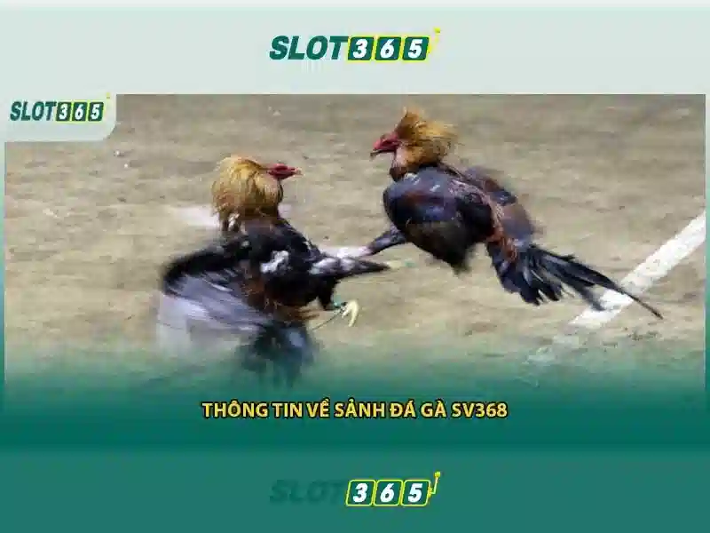 Đăng Nhập Slot365 – Trải Nghiệm Casino Slot365 Đỉnh Cao 2026