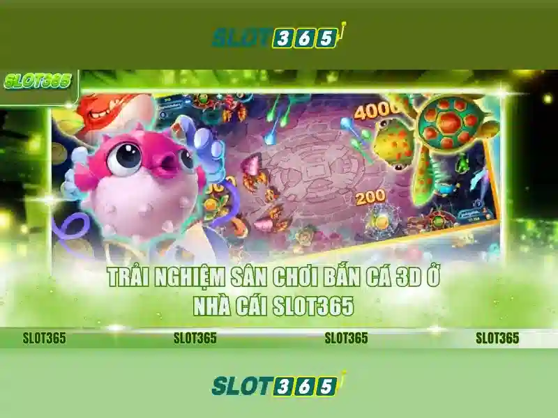 Quyền và nghĩa vụ người chơi