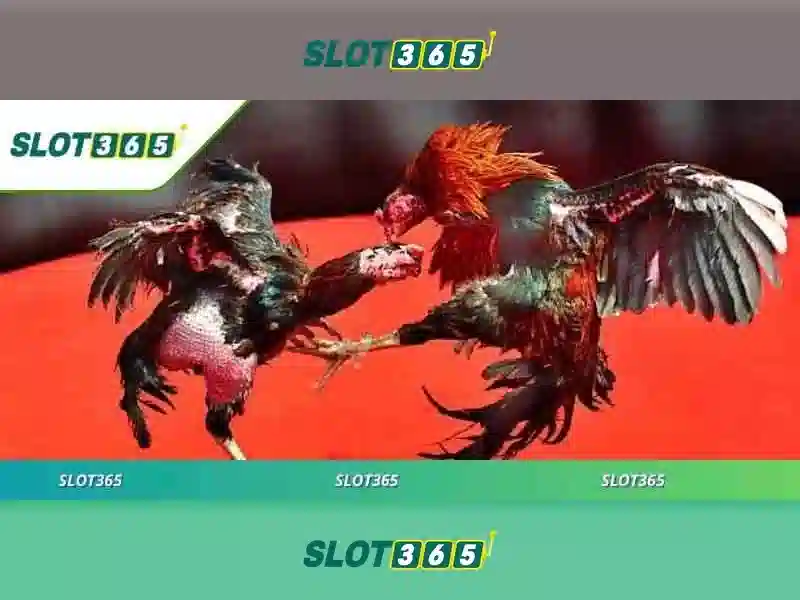 Tại Sao Chọn Slot365 xx.vip