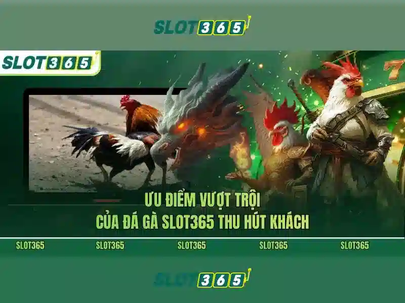 SLOT365