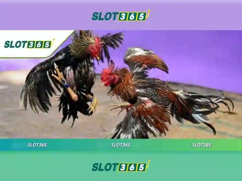 SLOT365 – Trải Nghiệm Chơi Slot Đỉnh Cao Tại Slot365.xx.vip