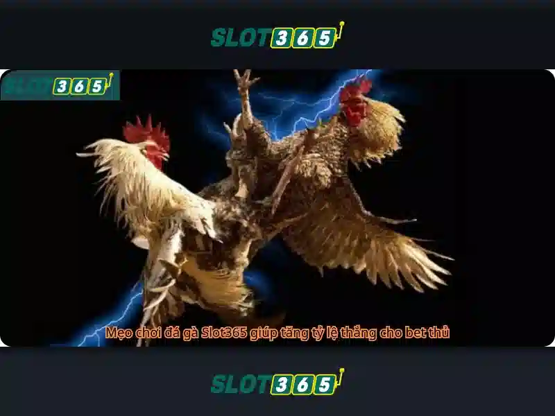 Trải Nghiệm Trọn Bộ Trò Chơi Slot365 Games Đa Dạng