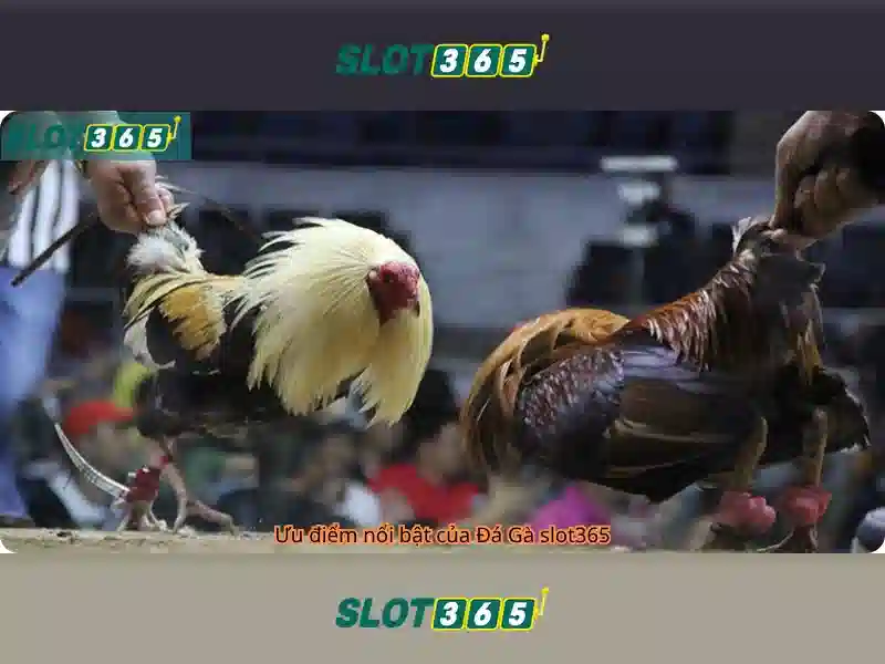 Giới Thiệu Về Slot365 Chính Thức