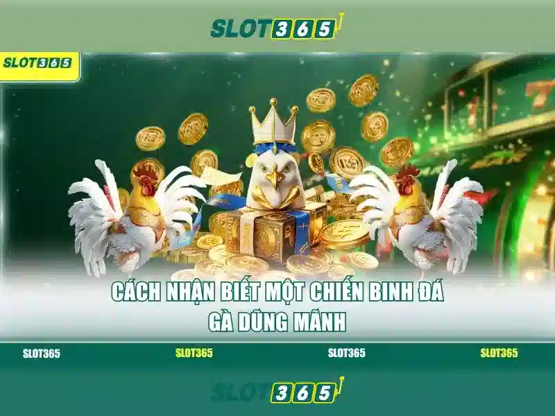 SLOT365 – Trang Chủ Slot365 Ap Chính Thức Không Bị Chặn 2026