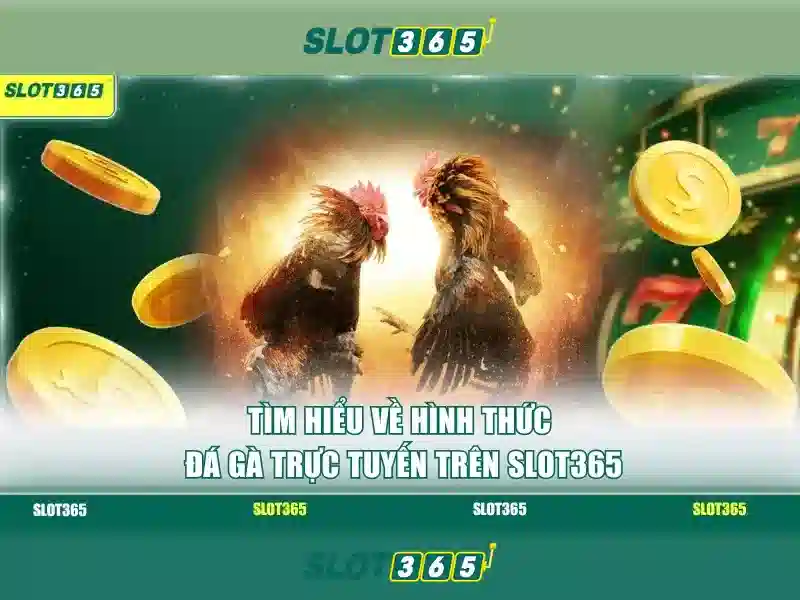 trải nghiệm slot365