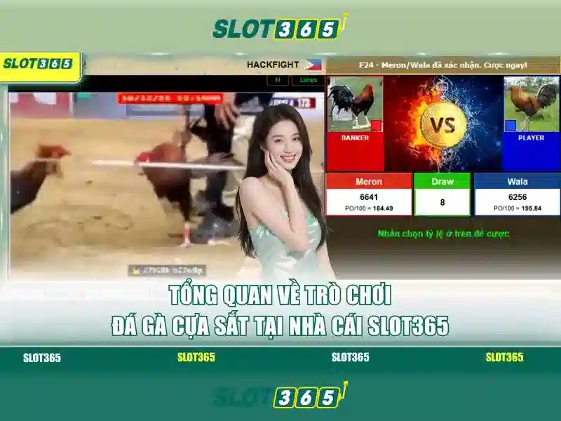 Ưu Điểm Slot365