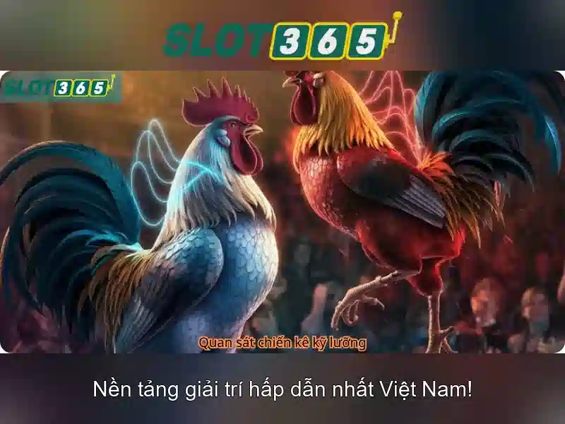 Khuyến Mãi Slot365 Chính Thức