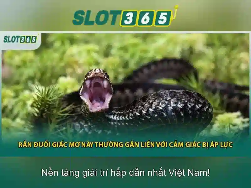 Nền Tảng Chơi Slot Uy Tín Cho Người Dùng Việt