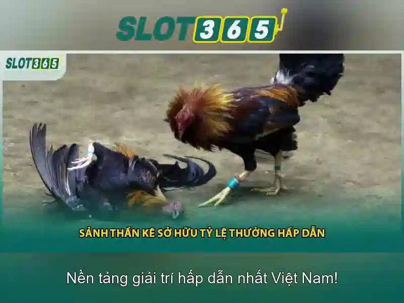 Khám phá Slot365 – Nền Tảng Slot Game Đỉnh Cao