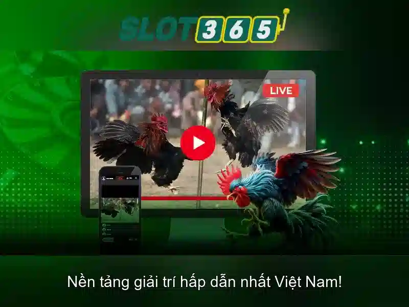 Trải nghiệm Slot365