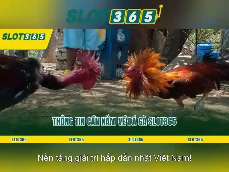 SLOT365 – Hỗ Trợ Khách Hàng 24/7