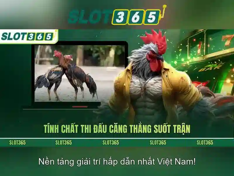 Slot365 Rút Tiền Hỗ Trợ
