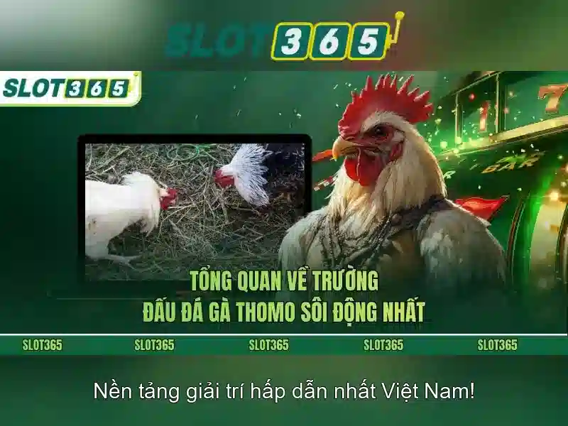 Slot365 – Đánh Giá Slot365 Có Lừa Đảo Không 2026 | Trang Chủ Slot365 Chính Thức
