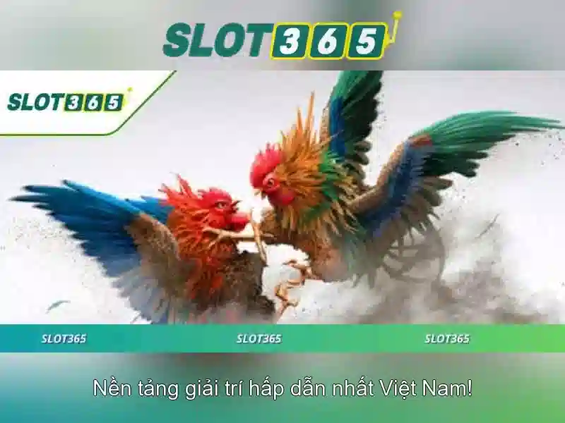 raja slot365 – Chương trình khuyến mãi hấp dẫn cho thành viên mới