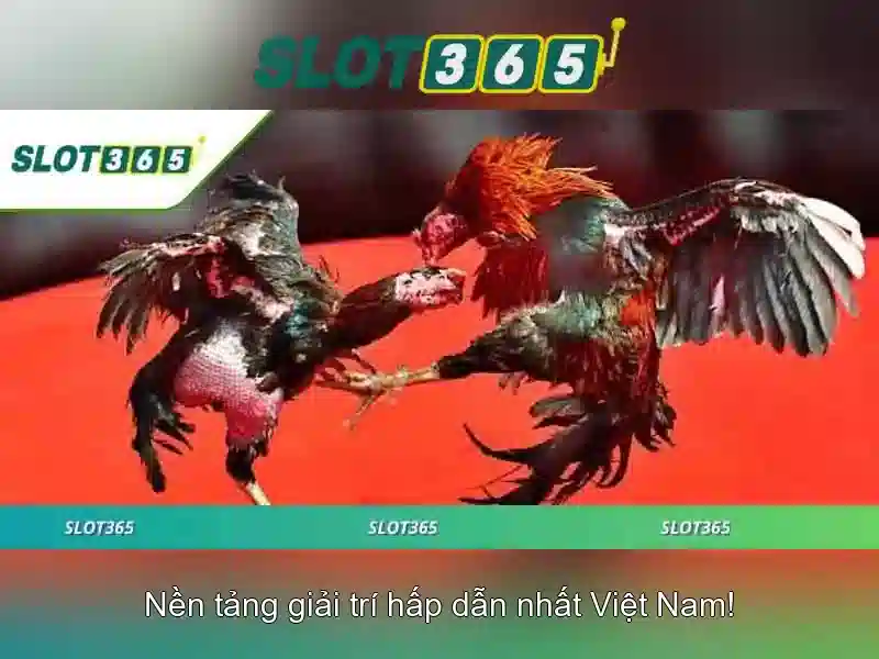 Ưu Đãi Đặc Biệt Cho Thành Viên Trung Thành