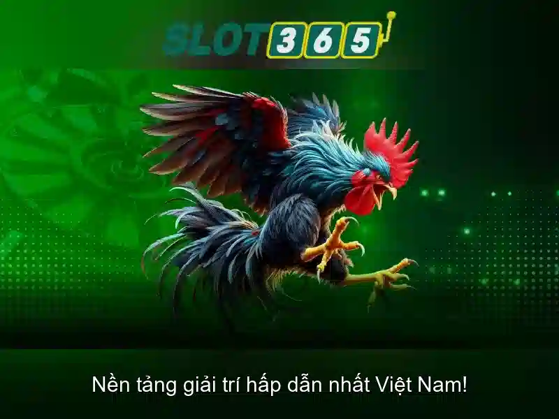 Slot365 – Nền Tảng Giải Trí Trực Tuyến Uy Tín Tại Châu Á