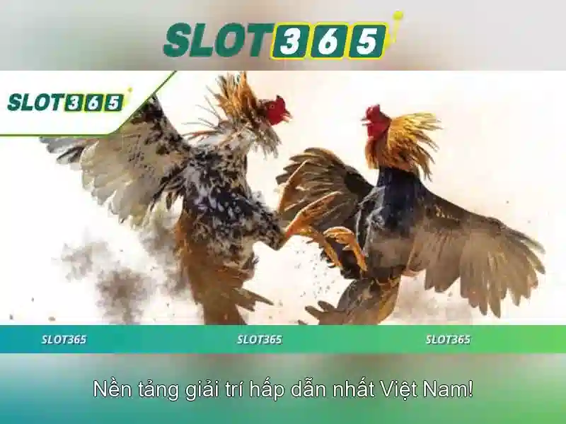SLOT365 – Trang Chủ Slot365 Tại Việt Nam 2026