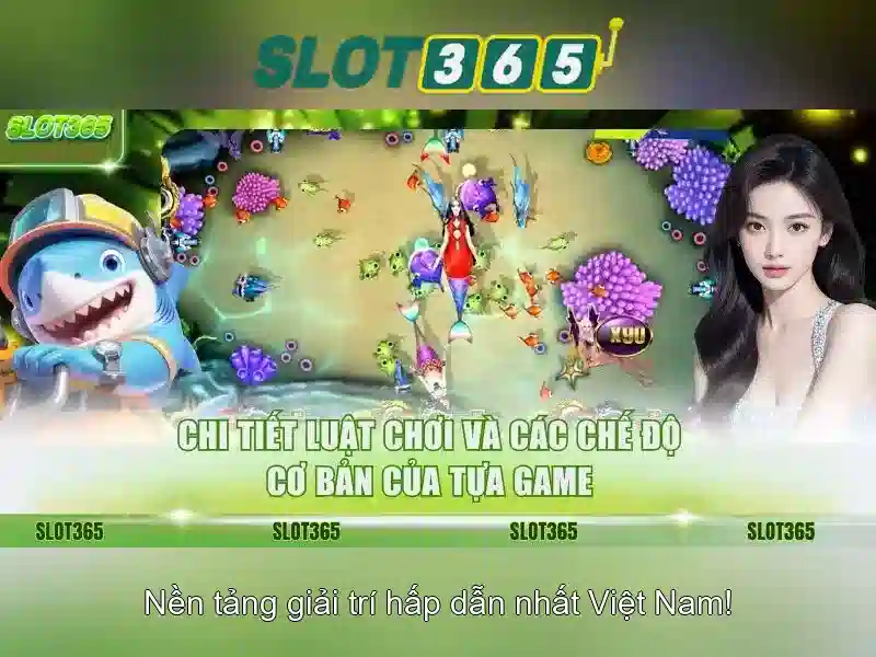 Quản Lý Ngân Sách