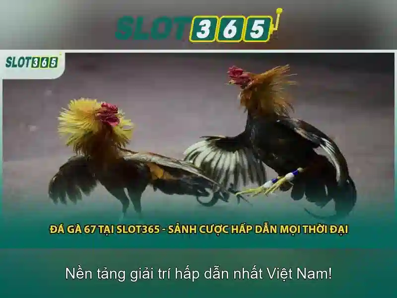 Kinh Nghiệm Chơi Slot365