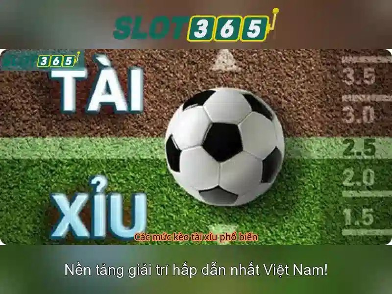 Chương Trình Ưu Đãi Độc Quyền Cho Thành Viên Slot365 Games