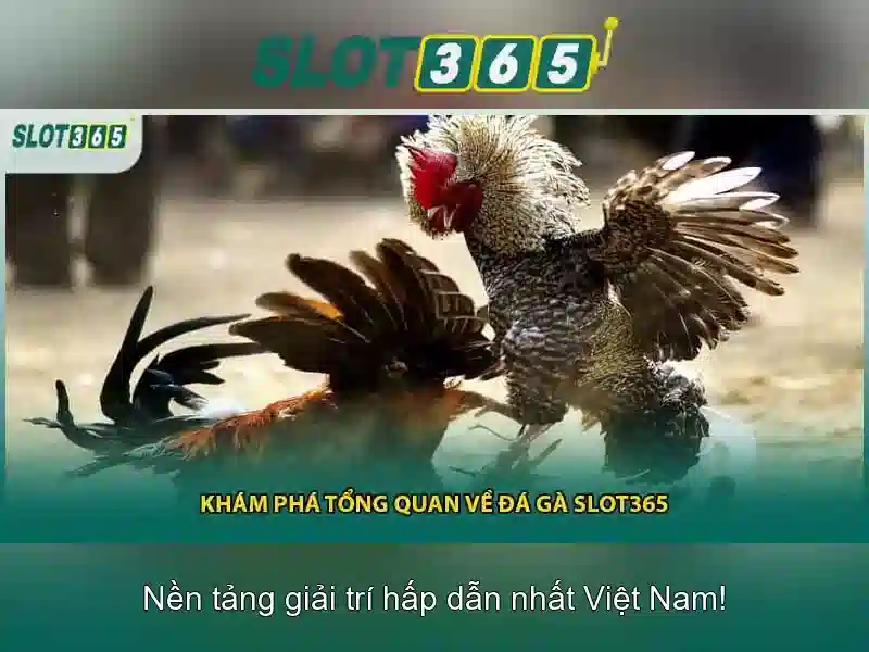 slot365 bet