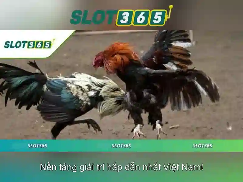 Ưu Điểm Của Giftcode Slot365