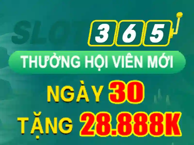 trải nghiệm cá cược